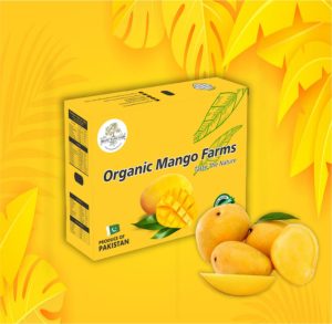 Blog 12Best Mango Exporter in Pakistan Best Mango Exporter in Pakistan