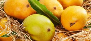 Blog 21Best Mango Exporter in Pakistan Best Mango Exporter in Pakistan